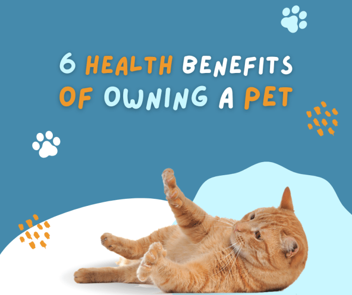 Ownership owning visit Ownership owning visit